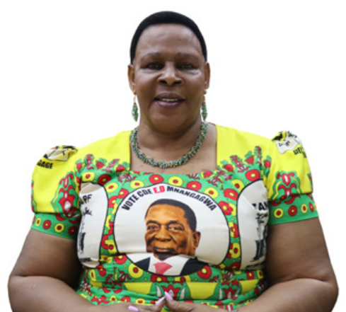Cde Mabel M Chinomona